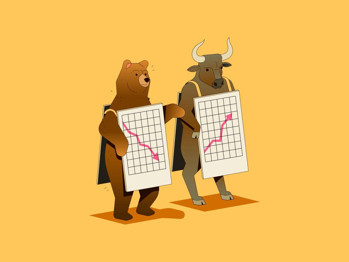 Bear Market-Bull Market