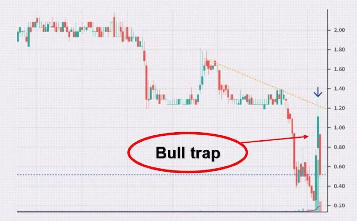 Bull-trap-1