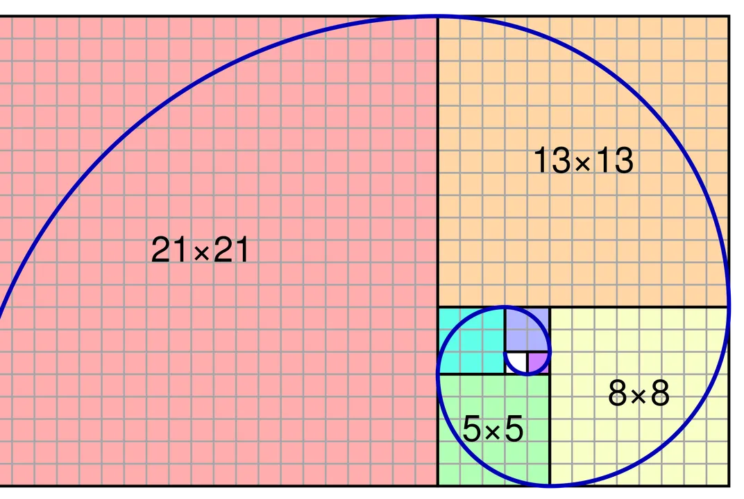 cac-loai-Fibonacci